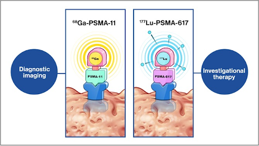 PSMA