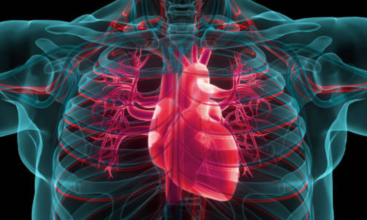 SPECT scan for heart diagnosis