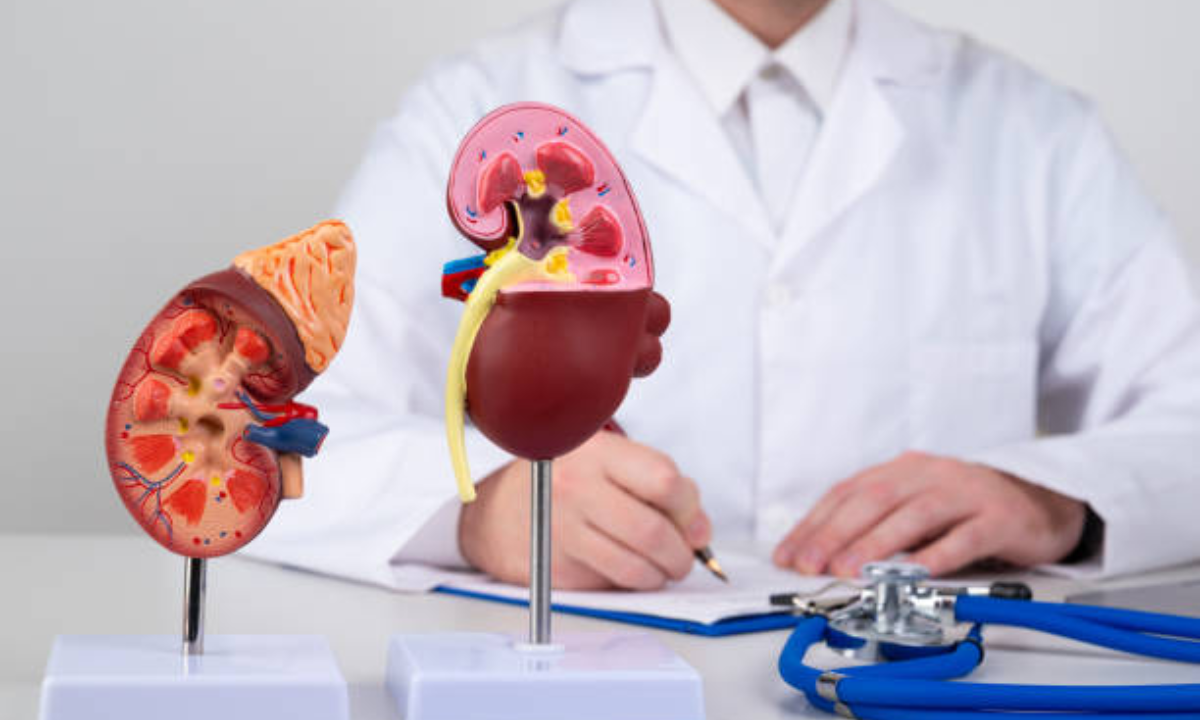 Kidney Scarring